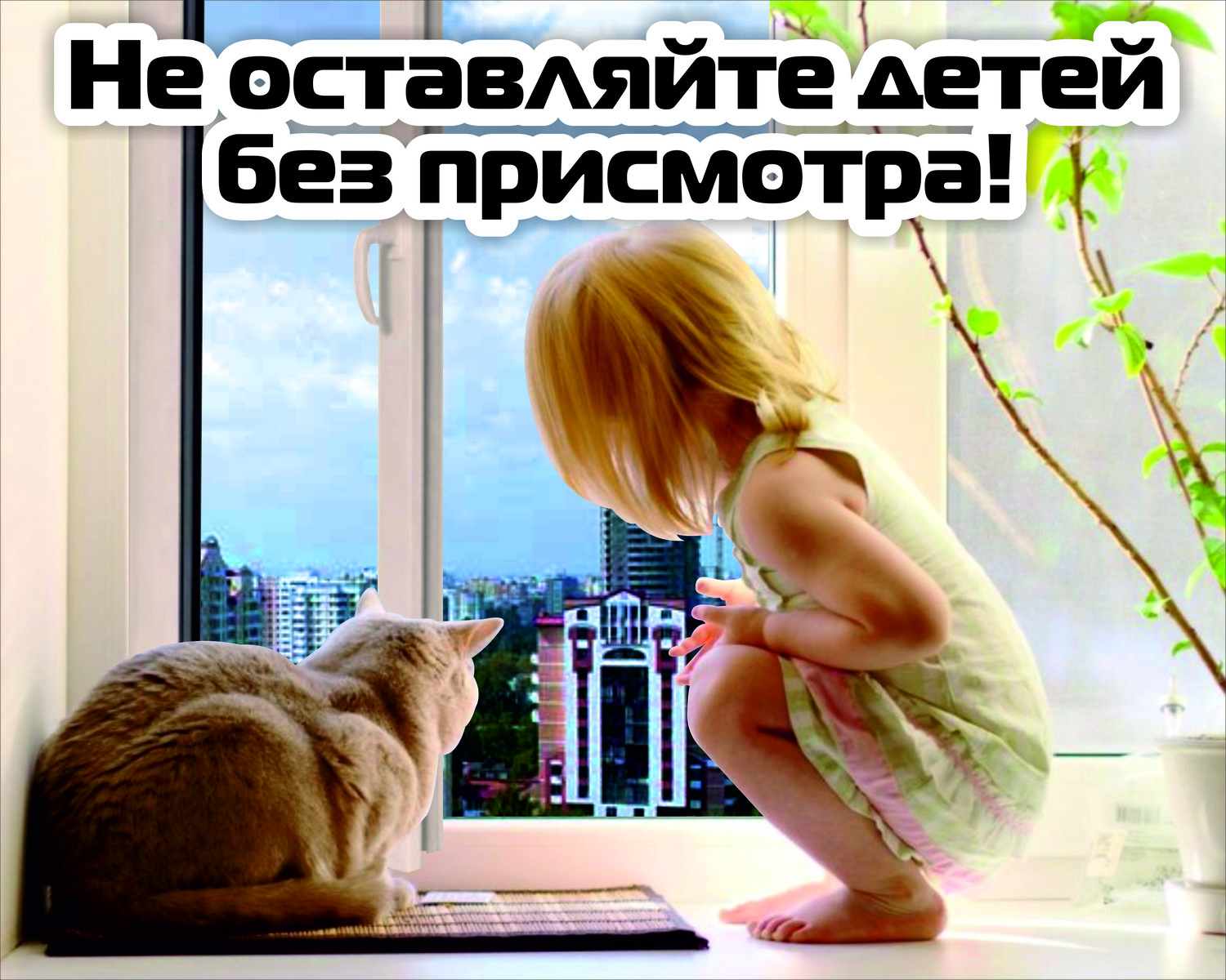 01005073.jpg